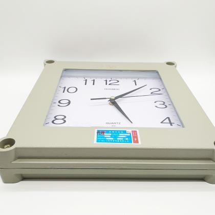 Explosion proof quartz clock Explos..