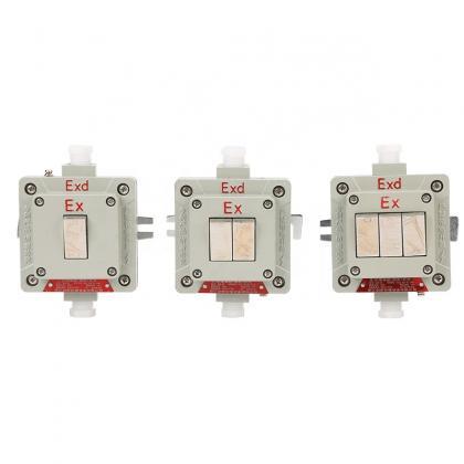 Explosion-proof Wall Switch Bqk One Two Three Four..