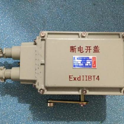 Explosion-proof travel switch Weigh..