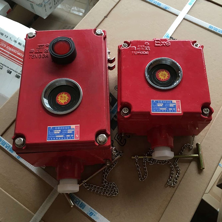 Explosion-proof fire-fighting button with lamp Flameproof hydrant button Btn-r-1n/2n Manual alarm button 
