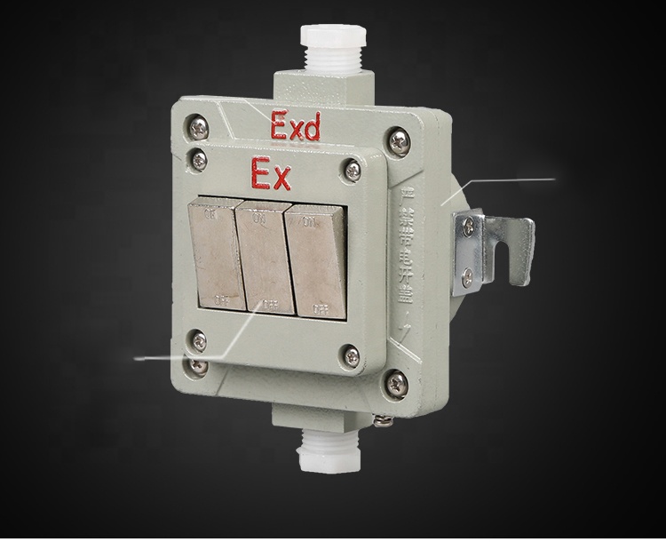 Flame-proof switch Explosion-proof wall switch Single double and triple Industrial explosion-proof socket 220V 10A 