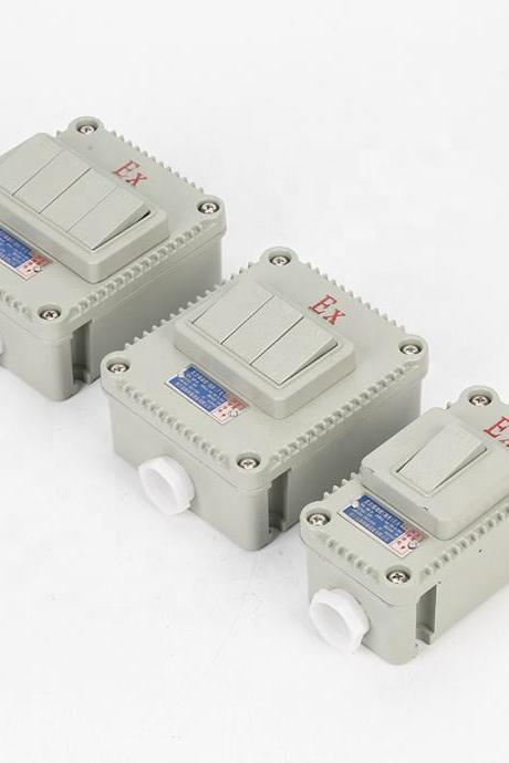Explosion-proof wall switch BQK one two three four has the certificate lighting switch 