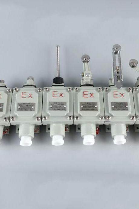 Explosion-proof travel switch limit switch bzx51-5d 5L 5Z 5N 5S 5T Explosion-proof proximity switch with double rocker arms 
