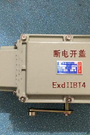 Explosion-proof travel switch Weight switch universal BLX11 LX510-12 BLXK501-10 LX510-32 Double beam weight limiter 