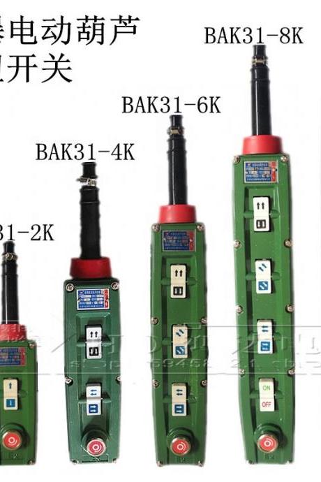 Electric block button Explosion-proof handle switch Explosion control button BAK21 BAK31 BAK41 