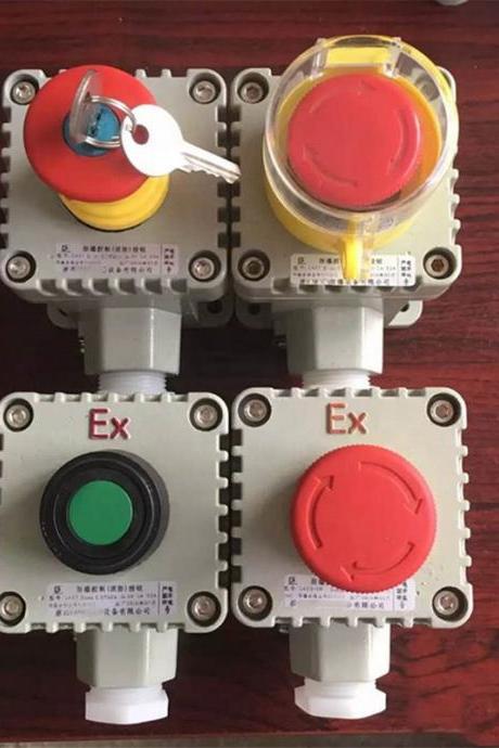 Explosion-proof push button switch Explosion control button Explosion control fire button Explosion-proof reset switch 