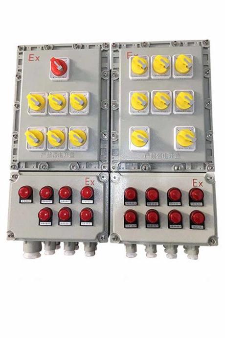 Explosion-proof lighting power distribution box Customized explosion-proof box Power Lighting Box Four Circuits 