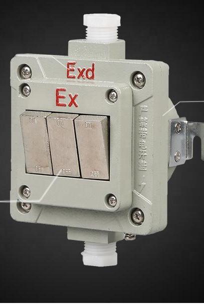 Flame-proof switch Explosion-proof wall switch Single double and triple Industrial explosion-proof socket 220V 10A 