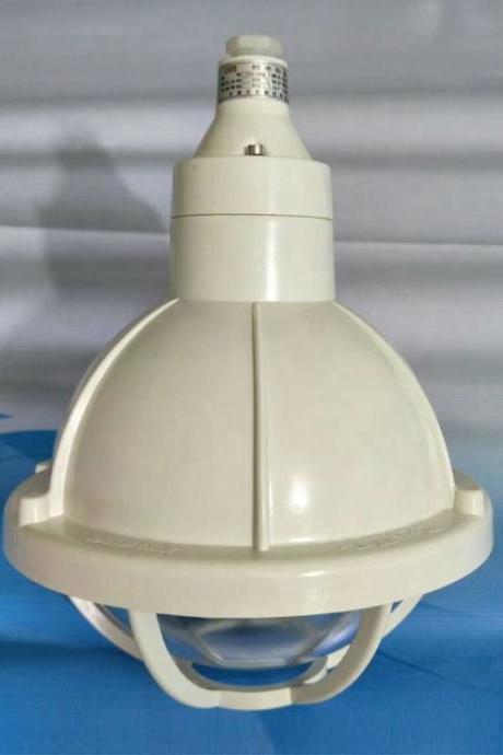 FAD-E50b1BGL-200S waterproof and dustproof wall lamp 